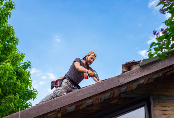 Best Emergency Roof Repair Services  in Daytona Beach, FL