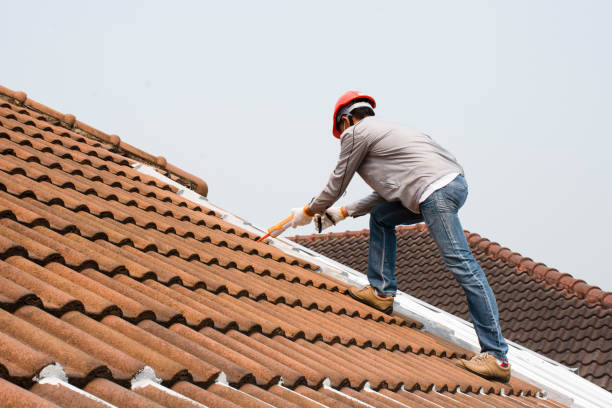 Best Roofing for New Construction  in Daytona Beach, FL